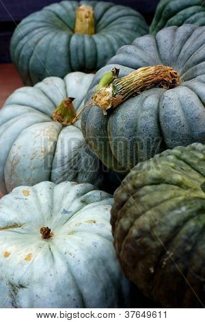 Färgade pumkins