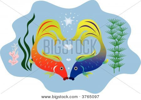 魚
