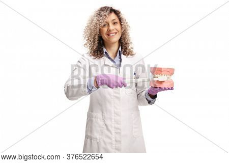 Young female dentist showing a proper teeth washing with a big toothbrush and a model jaw isolated on white background