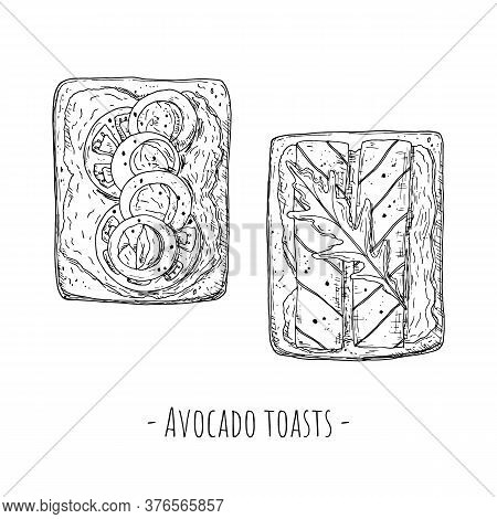 Avocado Toasts. Top View. Hand-drawn Style. Isolated.