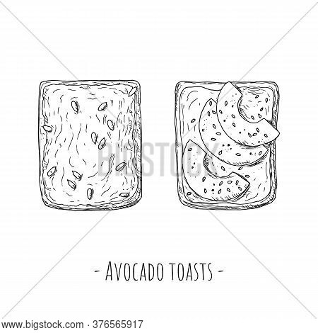 Avocado Toasts. Top View. Hand-drawn Style. Isolated.