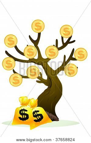 Rico, Gloden árbol