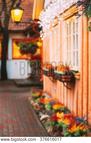 Abstract Blurred Bokeh Boke Background. Bush Of Colorful Calluna Plants In Hanging Pots Under Window