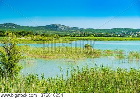 Beautiful Meadow And Green Lake In Ornithological Nature Park Vrana (vransko Jezero) In Dalmatia, Cr