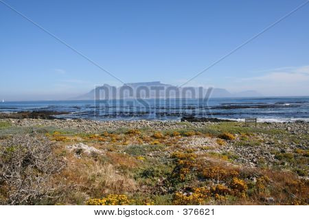 Table Mountain From Robben Island