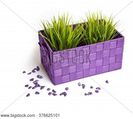 Box With Green Grass On A White Background