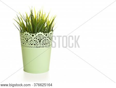 Pot Of Grass On A White Background