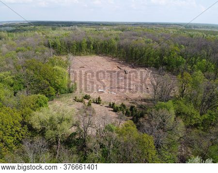 A Place Of Felling, Aerial View. Devastated Land, Clearing.