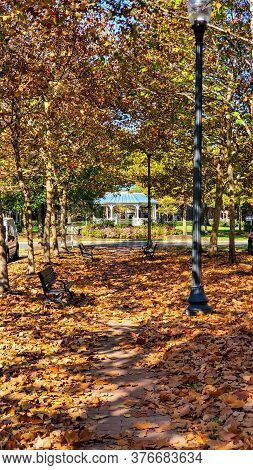 Park In Autumn. Path Leading To A Gazebo.