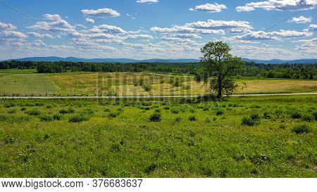 Gettysburg Battlegrounds. Farm Land. Lone Tree. Blue Sky