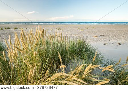 Beach With Sand Dunes And Marram Grass In Soft Sunrise Sunset Light. Skagen Nordstrand, Denmark. Ska