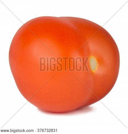 Tomato Solanaceous Garden Plant Isolated On A White Background.