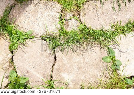 Concrete Stown Wall Or Walkway With Green Grass. Abstract Background Texture. Close Up.