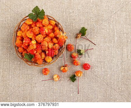 Cloudberry In A Basket On A Background Of Burlap. Healthy Diet. Collecting Forest Ripe Cloudberries 