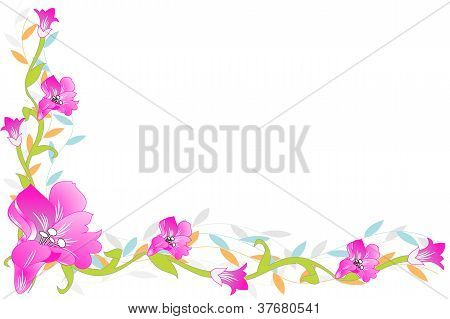 Blomster linjer med knopper