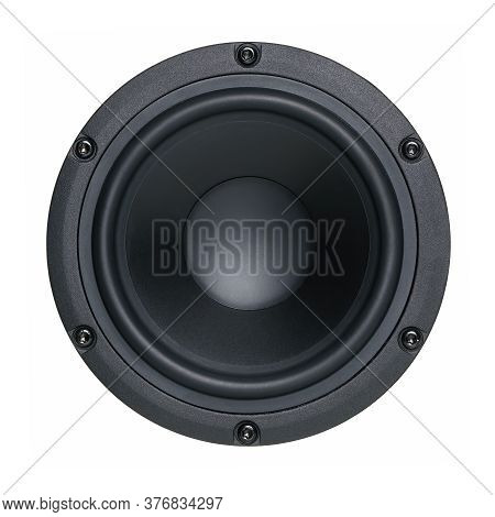 A Black Bass Speaker Membrane, Single Object