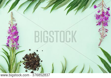 Scattered Herbal Tea . Dry Fermented Fireweed. Fresh Leaves And Flowers Of Ivan Tea. Blooming Sally 