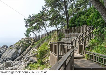The Wooden Walk Way Over The Rock Cilff In Haeundae Dongbaekseom Island Near Haehundae Beach.