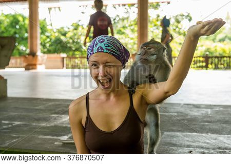 Ubud, Bali Indonesia - April 19, 2013: View Of Sacred Monkey Forest In Ubud. Tourist Feeds Monkeys