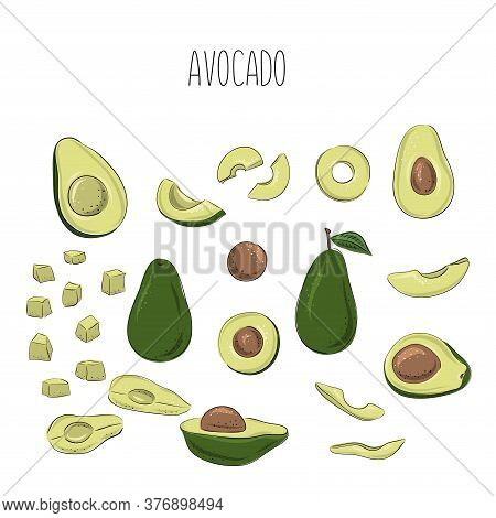 Vector Set Of Hand Drawn Avocado. Food Hand Drawn Vector Illustration. Design For Packaging, Wedding
