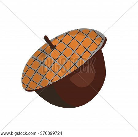 Autumn Season. Acorn Nut Isolated On White Background. Scrapbook Elements For Party, Harvest Festiva
