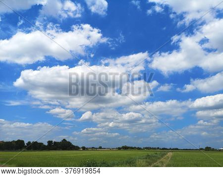 Road Soil Gravel Between Green Paddy Rice In The Field Plant, Jasmine Rice On Sky And Cloudy Nature 