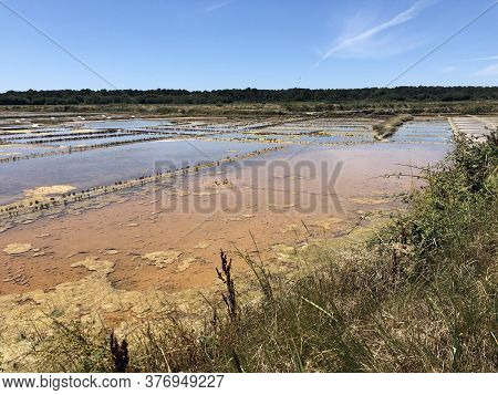 View Of The Famous Salt Marshes Of Guerande, France