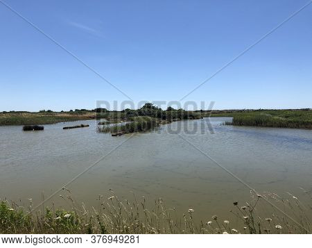 View Of The Famous Salt Marshes Of Guerande, France