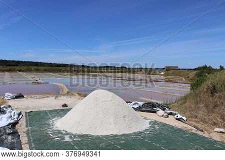 View Of The Famous Salt Marshes Of Guerande, France