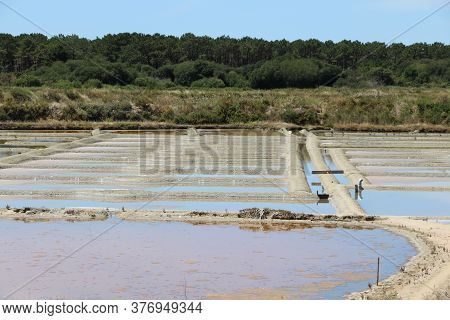 View Of The Famous Salt Marshes Of Guerande, France