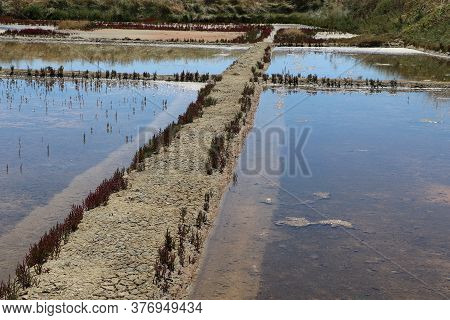 View Of The Famous Salt Marshes Of Guerande, France