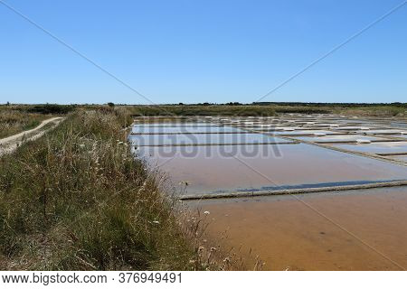 View Of The Famous Salt Marshes Of Guerande, France