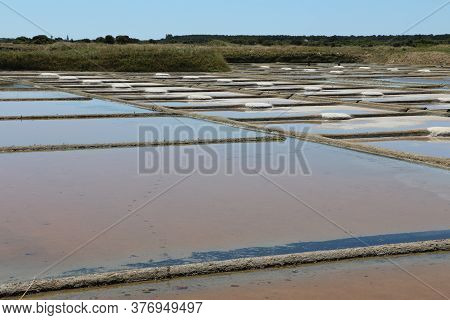 View Of The Famous Salt Marshes Of Guerande, France