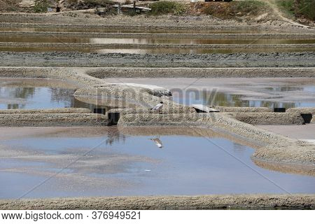View Of The Famous Salt Marshes Of Guerande, France