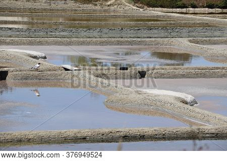 View Of The Famous Salt Marshes Of Guerande, France