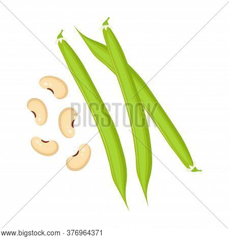 Cartoon Fresh Green Bean Pods With Beige Beans For Healthy Food Or Agriculture Themes, Vector Illust