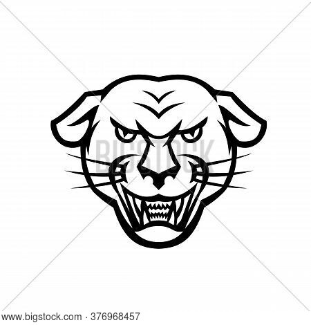 Mascot Icon Illustration Of Head Of An Angry Or Aggressive Black Panther Or Melanistic Jaguar Baring
