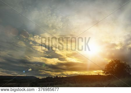 Natural Background Blurring Warm Colors And Bright Sunlight. Bokeh Or Tree Background Green Energy A