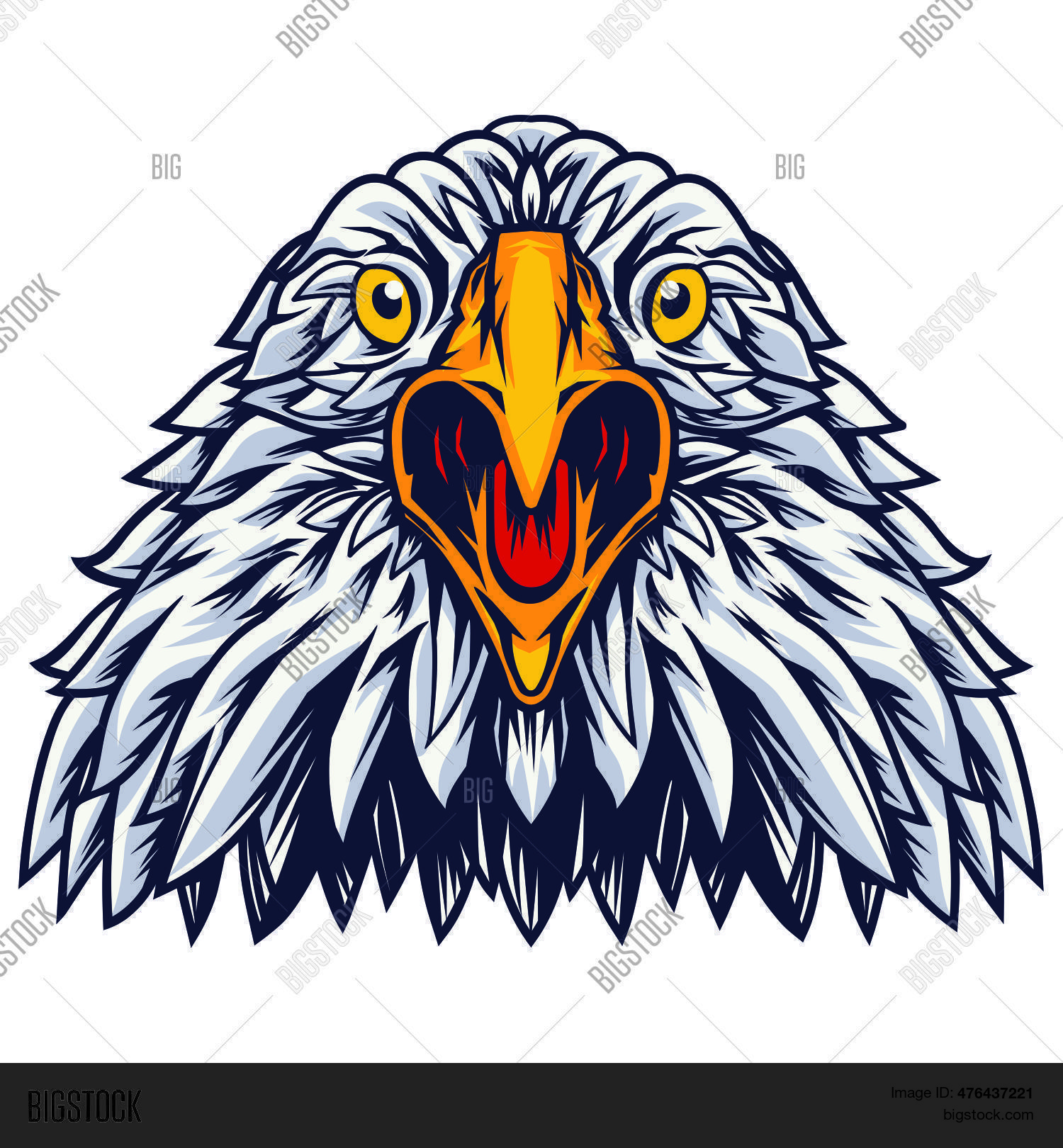 Eagle Head, Bird Face Vector \u0026 Photo (Free Trial) | Bigstock, image size:1500x1620