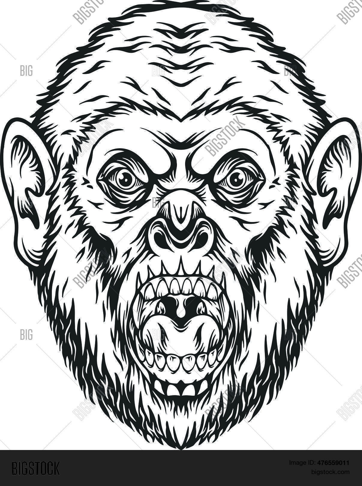 Scary Roar Gorilla Vector & Photo (Free Trial) | Bigstock