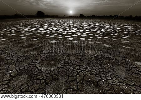 Dried Fish Pond In Hong Kong In Black And White
