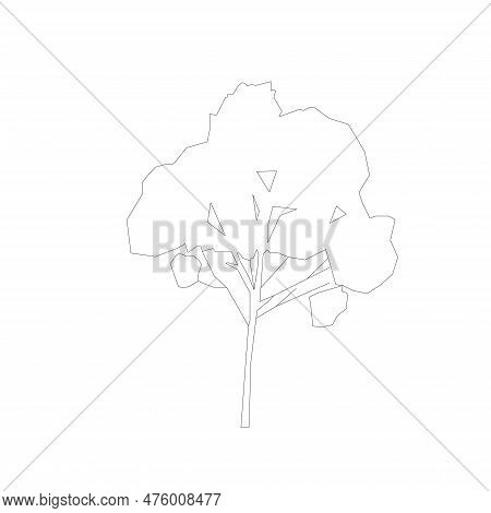 Tree, Nature, Forest, Isolated, Plant, Vector, Garden, Summer, Illustration, Symbol, Environment, De