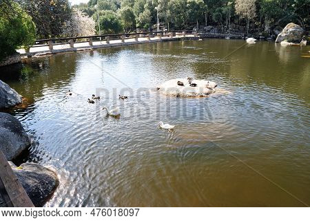 The Little Lake Of Santa Degna, Aggius