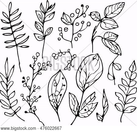 Breathtaking Hand Drawn Line Forest Flora Vector