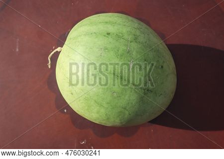 Fresh Organic Light Green Watermelon. Indian Fruit Light Green Water Melon Or Tarbooz