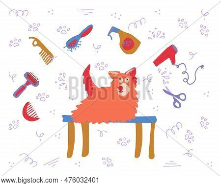 Dog Grooming And Pet Grooming Products. Combs, Brushes, Scissors, Hair Dryer, Furminator, Slickers, 