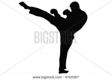Taekwondo