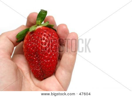 Store Stawberry