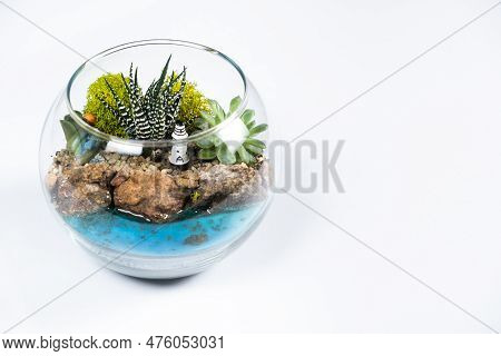 Florarium In A Glass Vase With Haworthia, Pachyphytum And Other Succulents Near The Sea. Place For T