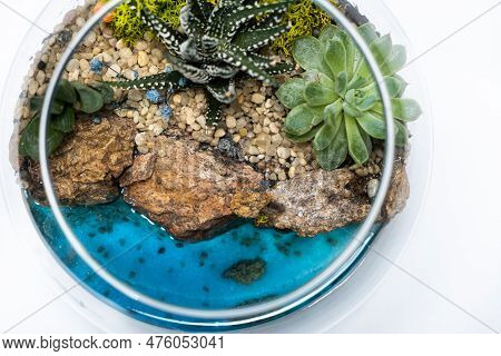 Florarium In A Glass Vase With Haworthia, Pachyphytum And Other Succulents Near The Sea.